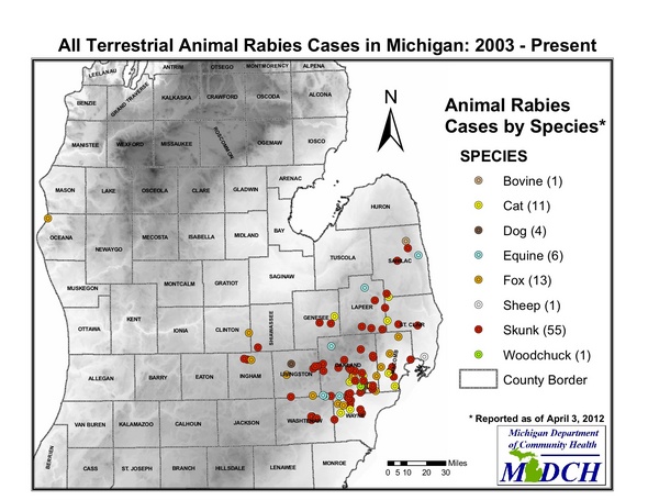 rabies map by species in state.jpg